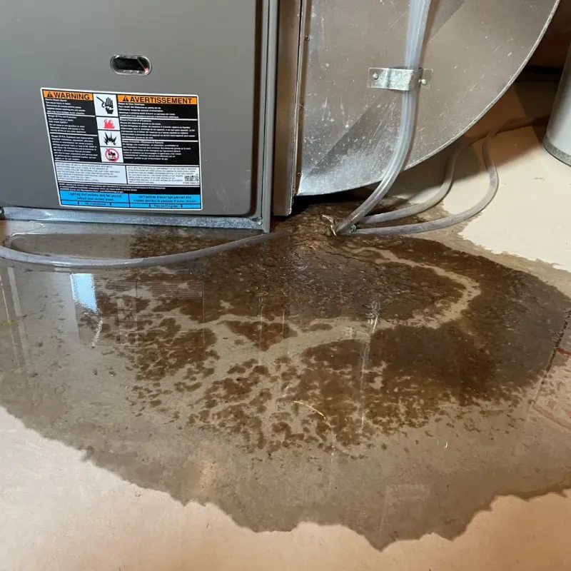 Appliance Leak Cleanup in Kinsey, AL